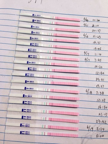 journal_insert_pic_141451648