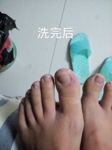 journal_insert_pic_141839494