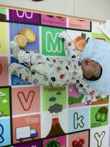 journal_insert_pic_142476877