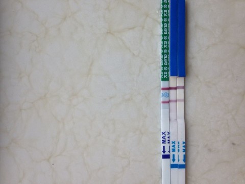 journal_insert_pic_143025276