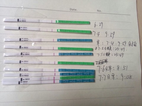 journal_insert_pic_143558910
