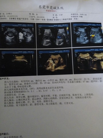 journal_insert_pic_143845884