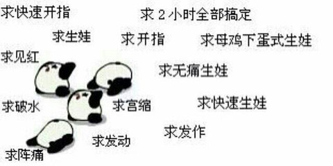 journal_insert_pic_144167501