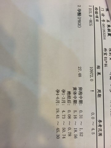 journal_insert_pic_144209209