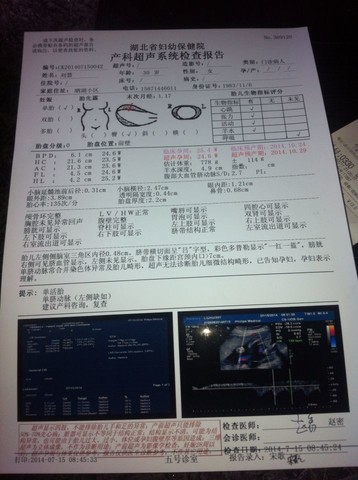 journal_insert_pic_144612828
