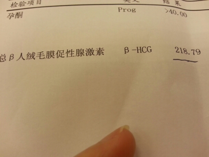 journal_insert_pic_144785779