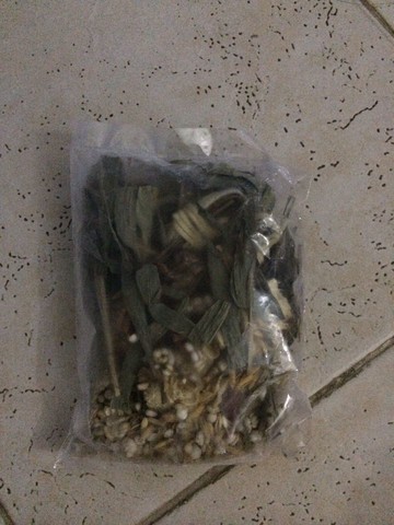 journal_insert_pic_145271351