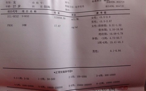 journal_insert_pic_146501595