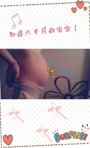 journal_insert_pic_146660619
