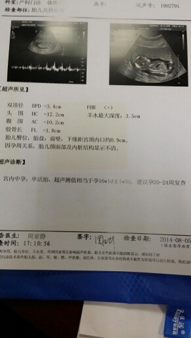 journal_insert_pic_147941634