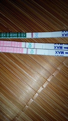 journal_insert_pic_148297506