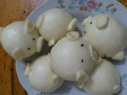 journal_insert_pic_148599549