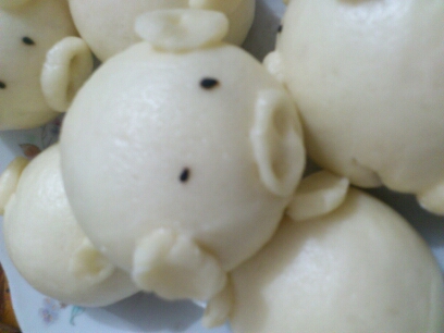 journal_insert_pic_148599540