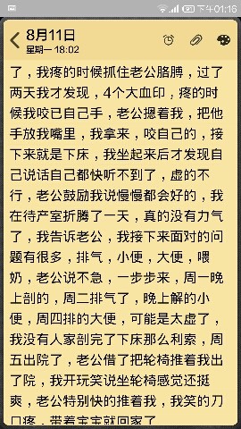 journal_insert_pic_149356768