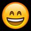 journal_insert_pic_150769596