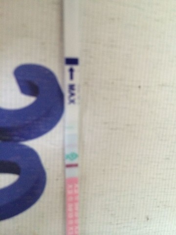 journal_insert_pic_150861677