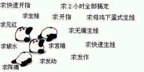 journal_insert_pic_151330068