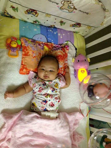 journal_insert_pic_152053489