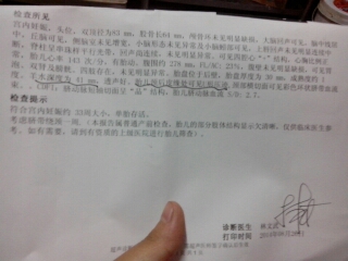 journal_insert_pic_154336577
