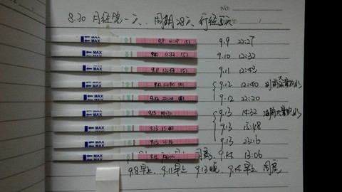 journal_insert_pic_154719502