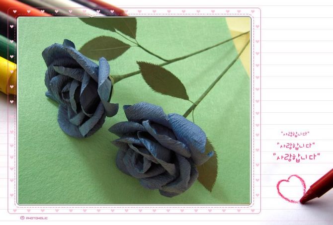 journal_insert_pic_154863939