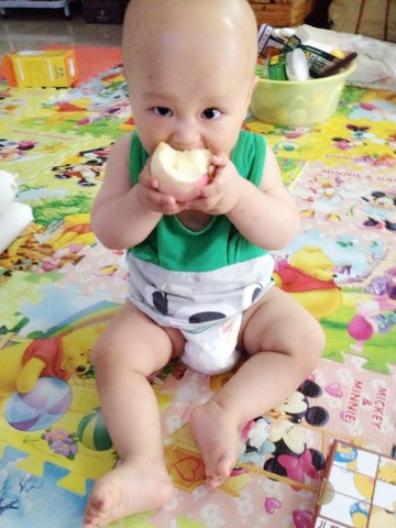 journal_insert_pic_155117418