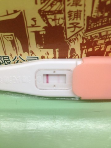 journal_insert_pic_155048274