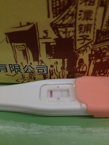 journal_insert_pic_155048276