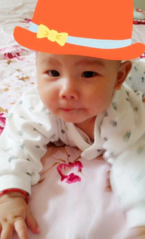 journal_insert_pic_155125756
