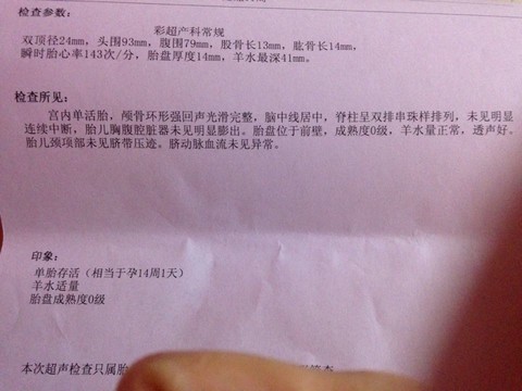 journal_insert_pic_155372645