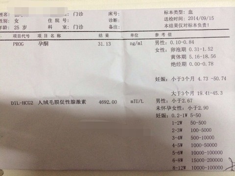 journal_insert_pic_155838613