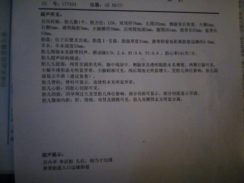journal_insert_pic_155804300