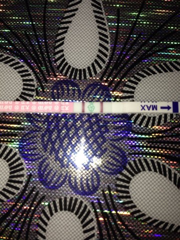 journal_insert_pic_156154008