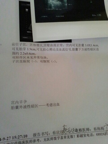 journal_insert_pic_156291337