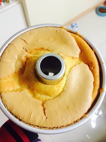 journal_insert_pic_156525641
