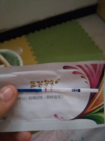 journal_insert_pic_156502344