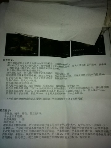 journal_insert_pic_156638341