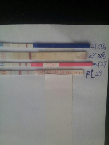 journal_insert_pic_156543711