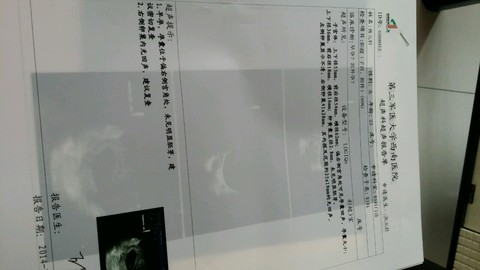 journal_insert_pic_157441352