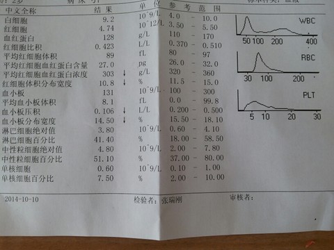 journal_insert_pic_158294437