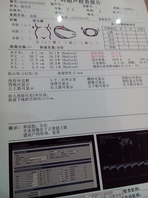 journal_insert_pic_158566800