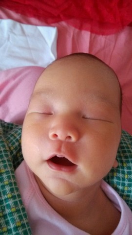 journal_insert_pic_158895371