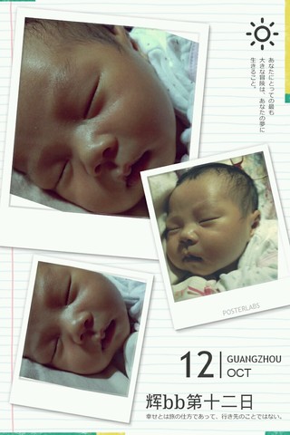 journal_insert_pic_159367989