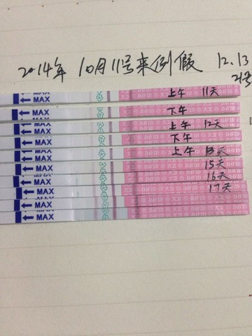 journal_insert_pic_162176066