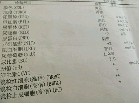journal_insert_pic_162660499