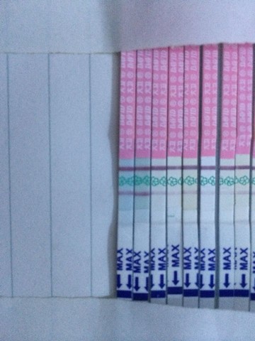 journal_insert_pic_163141221