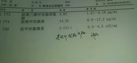 journal_insert_pic_163358507