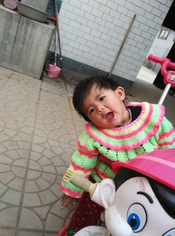 journal_insert_pic_164511261