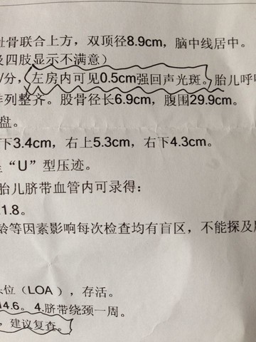 journal_insert_pic_166915572