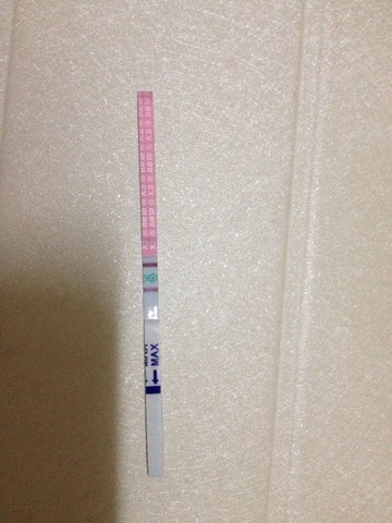 journal_insert_pic_168255847